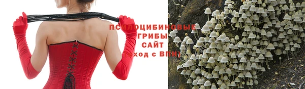 спайс Гусев