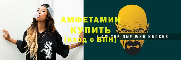 мяу мяу мука Гусь-Хрустальный