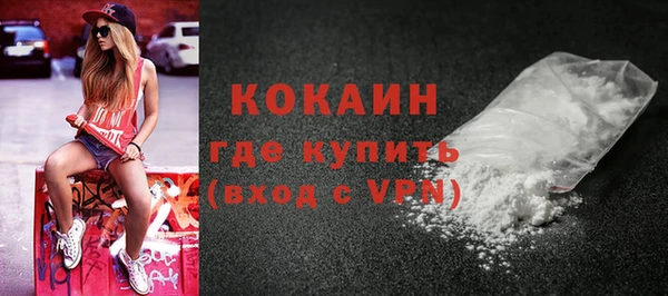 мяу мяу мука Гусь-Хрустальный
