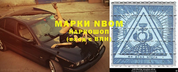 мяу мяу мука Гусь-Хрустальный