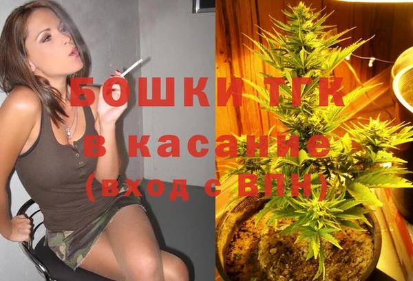 спайс Гусев