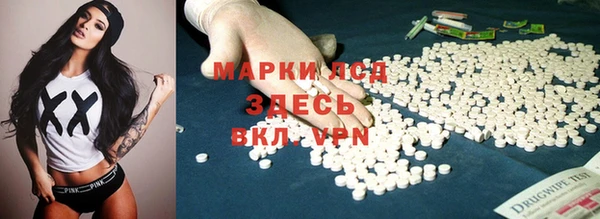 спайс Гусев