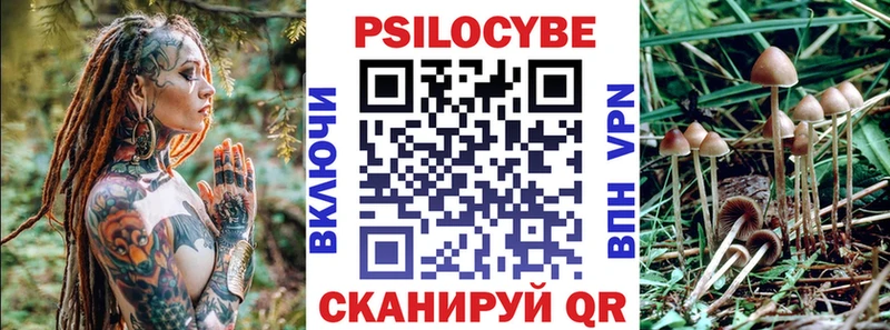 Галлюциногенные грибы Magic Shrooms  Черкесск 