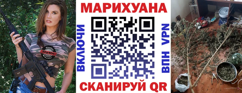 наркотики  Черкесск  Каннабис сатива 